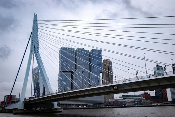 Erasmusbrug in Rotterdam | Ontdek de omgeving van Beachhotel Cape Helius