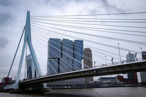 Erasmusbrug in Rotterdam | Ontdek de omgeving van Beachhotel Cape Helius